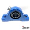 Pillow Block – Cast and Bearing Unit (GG)